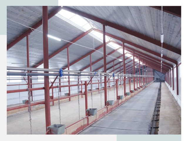 Строительство коровников в Краснодаре от 619 руб.