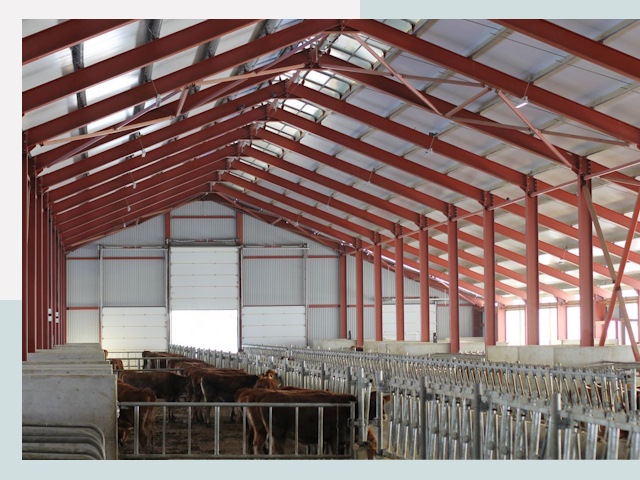 Строительство коровников в Краснодаре
