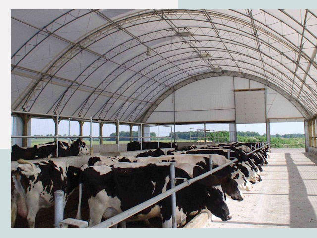 Тентовые коровники в Краснодаре